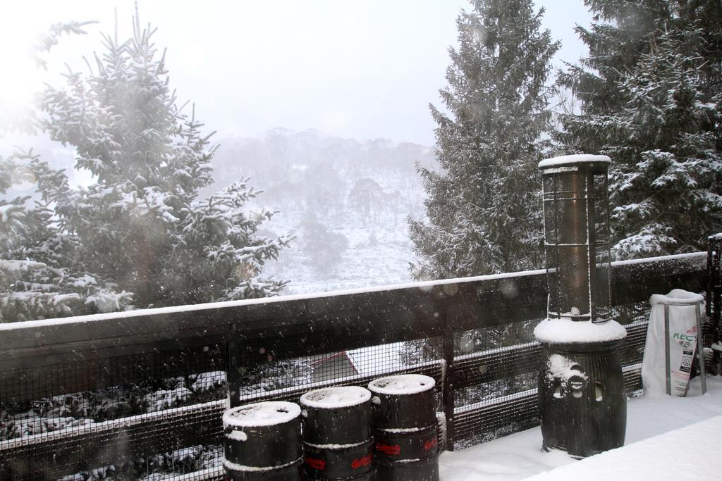 Black Bear Inn Thredbo Bagian luar foto