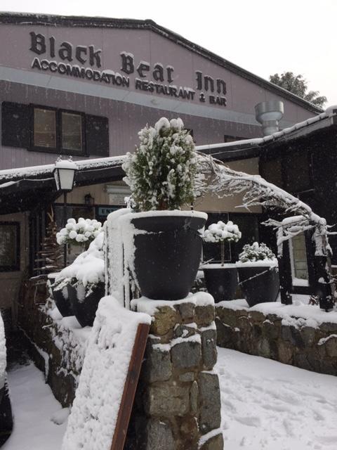 Black Bear Inn Thredbo Bagian luar foto