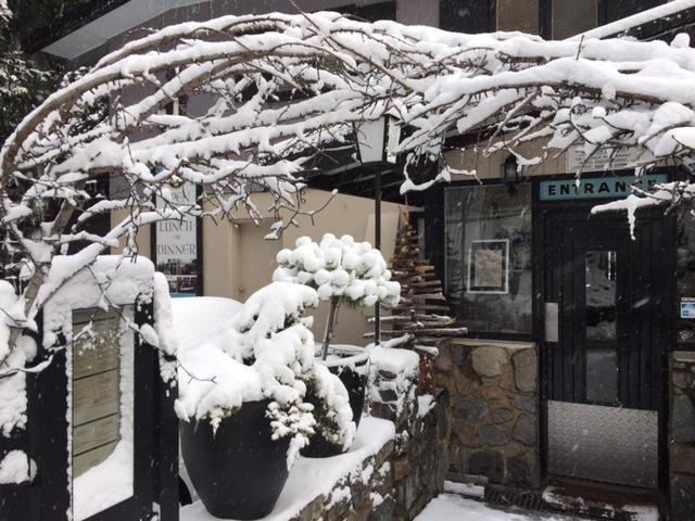 Black Bear Inn Thredbo Bagian luar foto